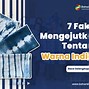 Warna Biru Indigo Seperti Apa